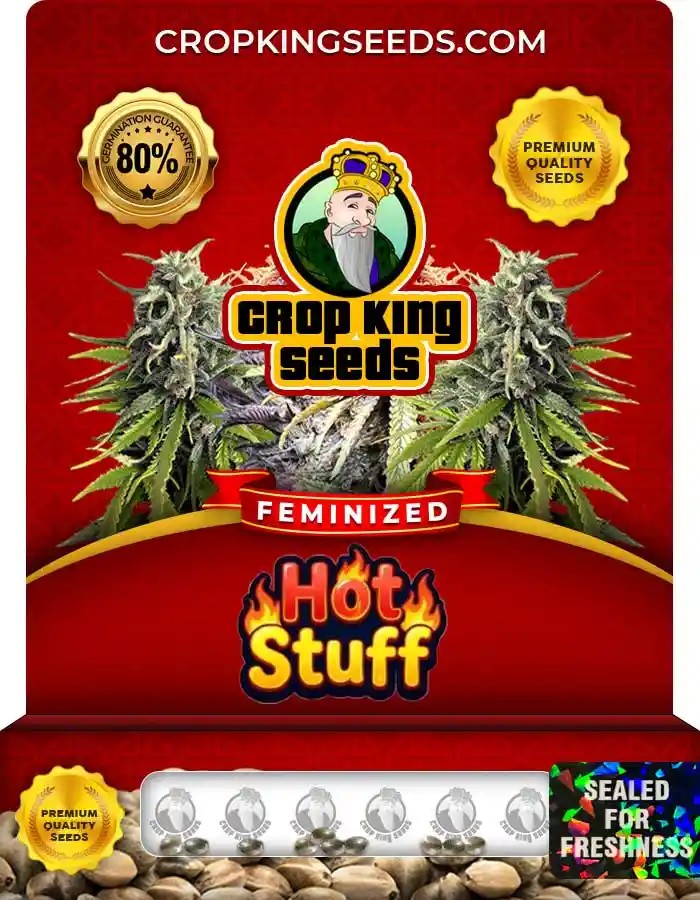 Hot Stuff Strain Feminized Marijuana Seeds