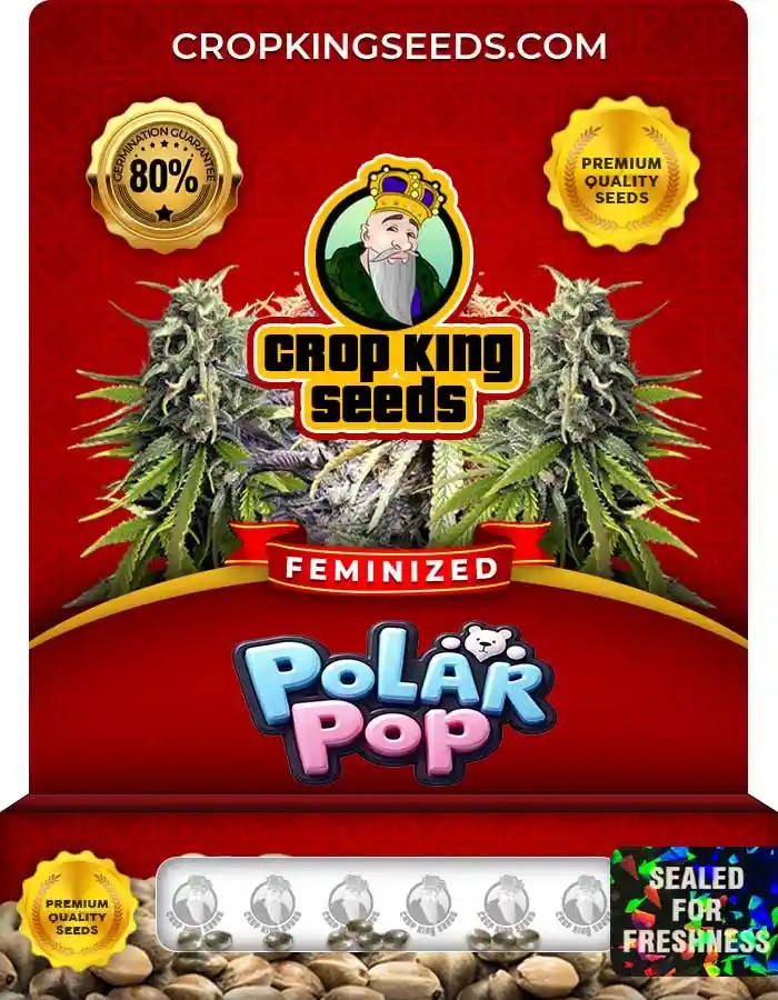 Polar Pop Feminized Seeds