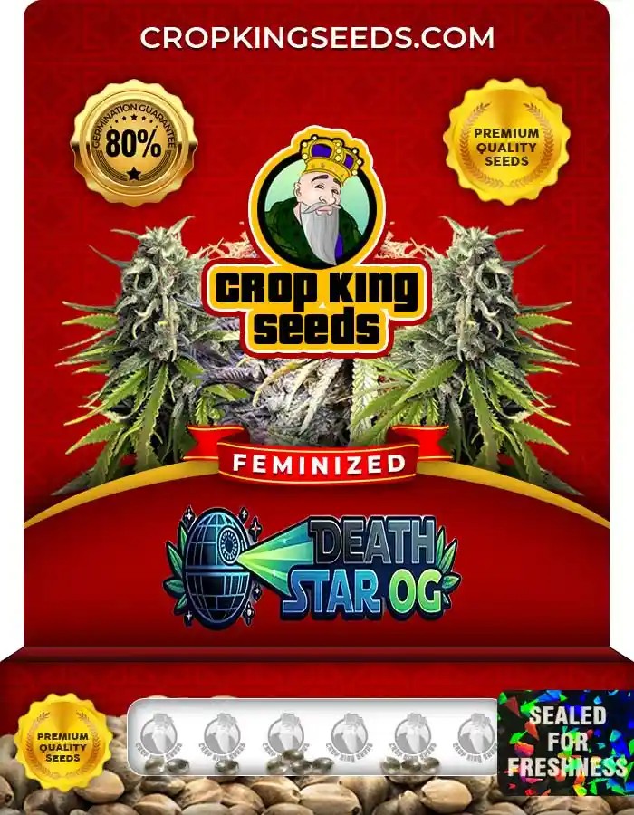 Death Star OG Feminized Seeds