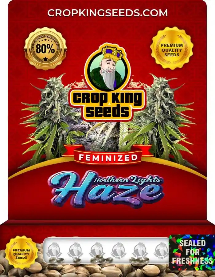 Northern Lights Haze Feminized Marijuana Seeds