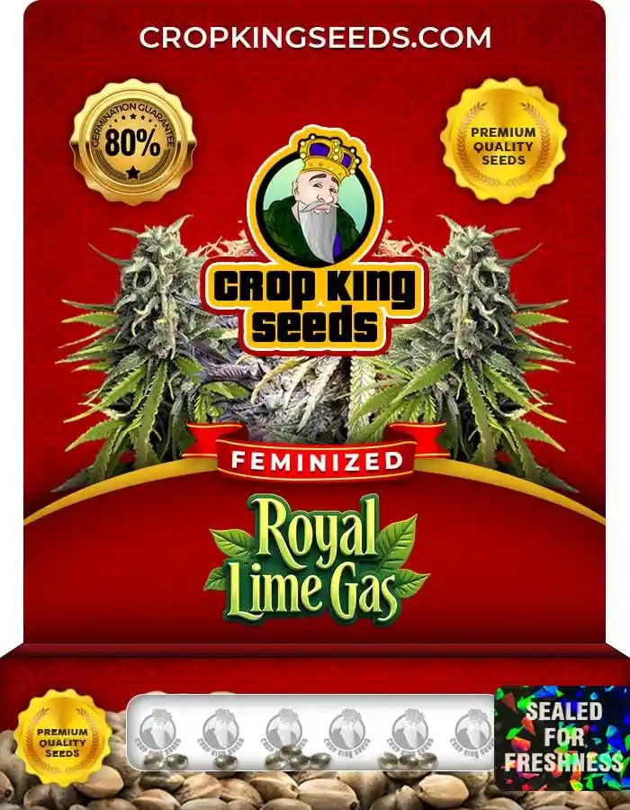 Royal Lime Gas Strain Feminized Seeds