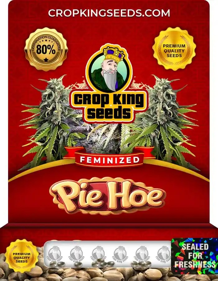 Pie Hoe Strain Feminized Marijuana Seeds