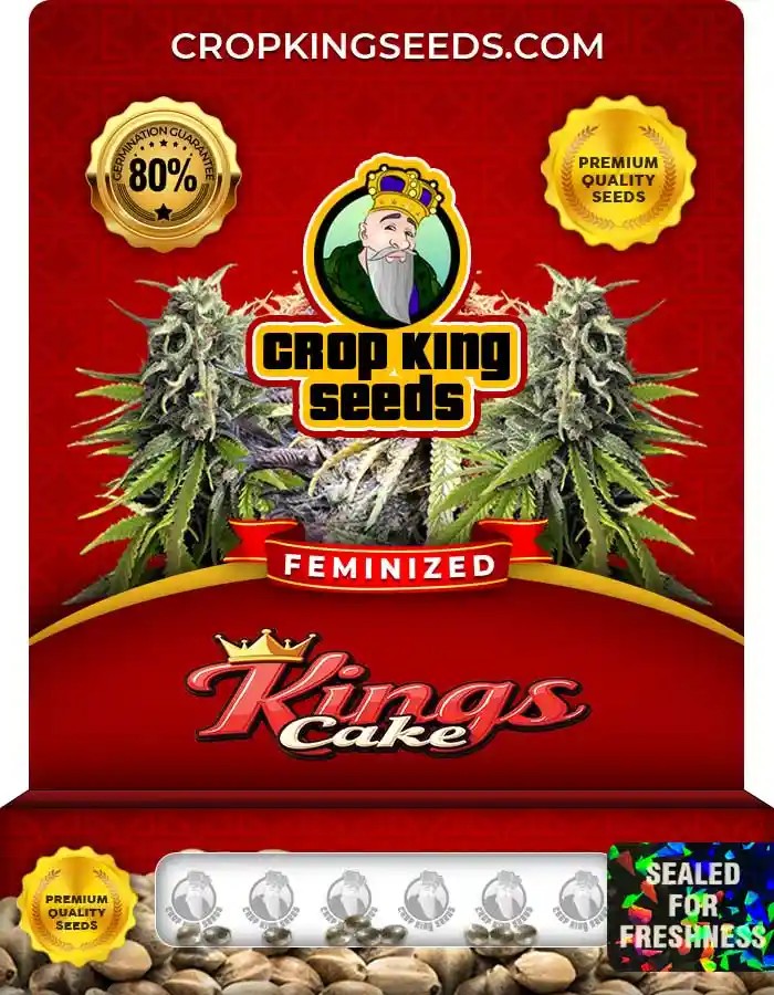 Kings Cake Strain Feminized Seeds