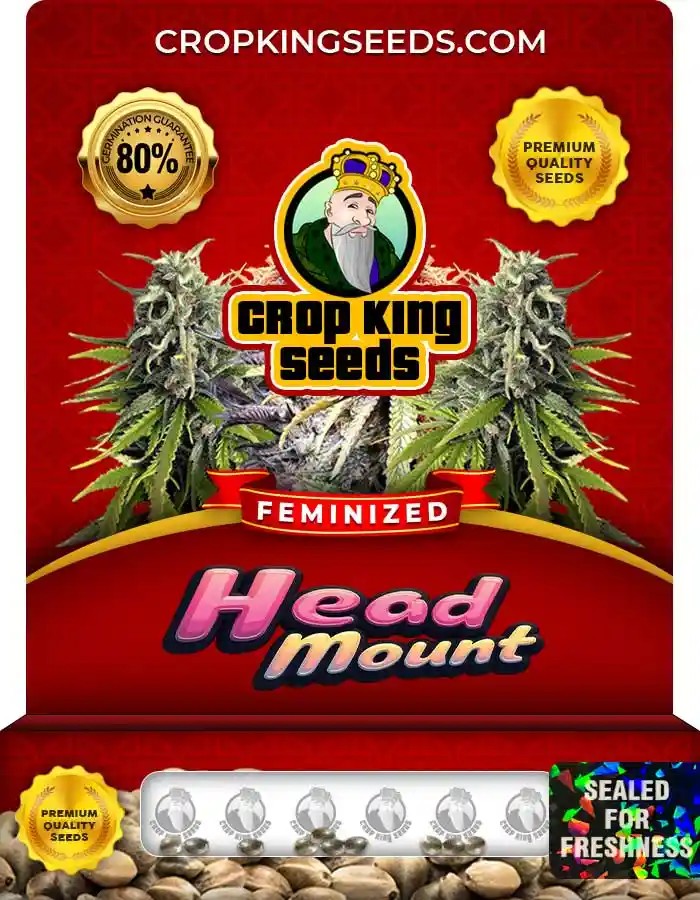 Head Mount Feminized Seeds