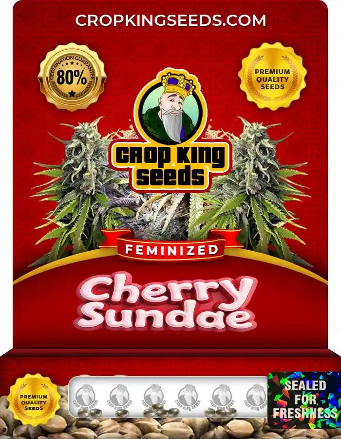 Cherry Sundae Feminized Seeds