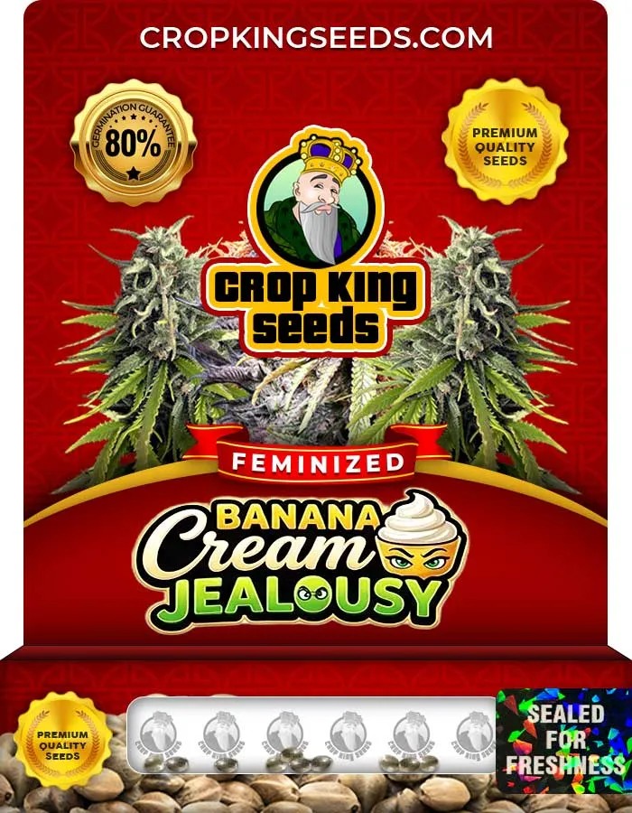 Banana Cream Jealousy Strain Feminized Seeds