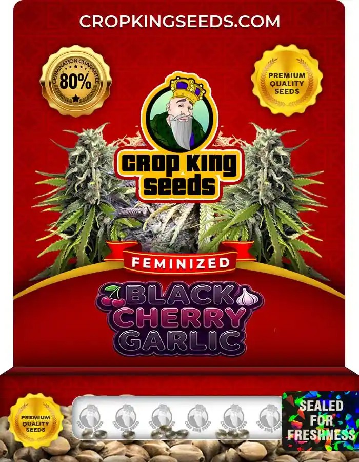 Black Cherry Garlic Feminized Seeds