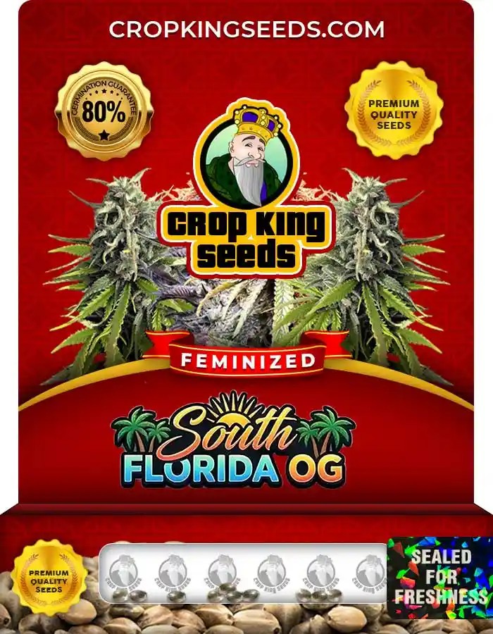 South Florida OG Feminized Seeds