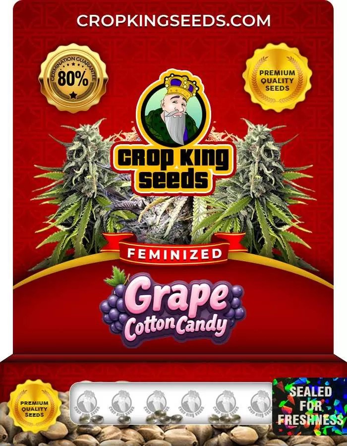 Grape Cotton Candy Feminized Seeds