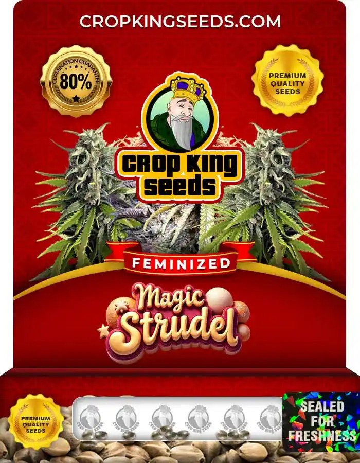 Magic Strudel Strain Feminized Seeds