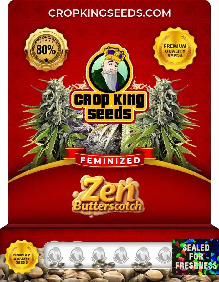 Zen Butterscotch Strain Feminized Seeds