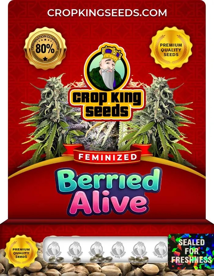 Berried Alive Strain Feminized Seeds
