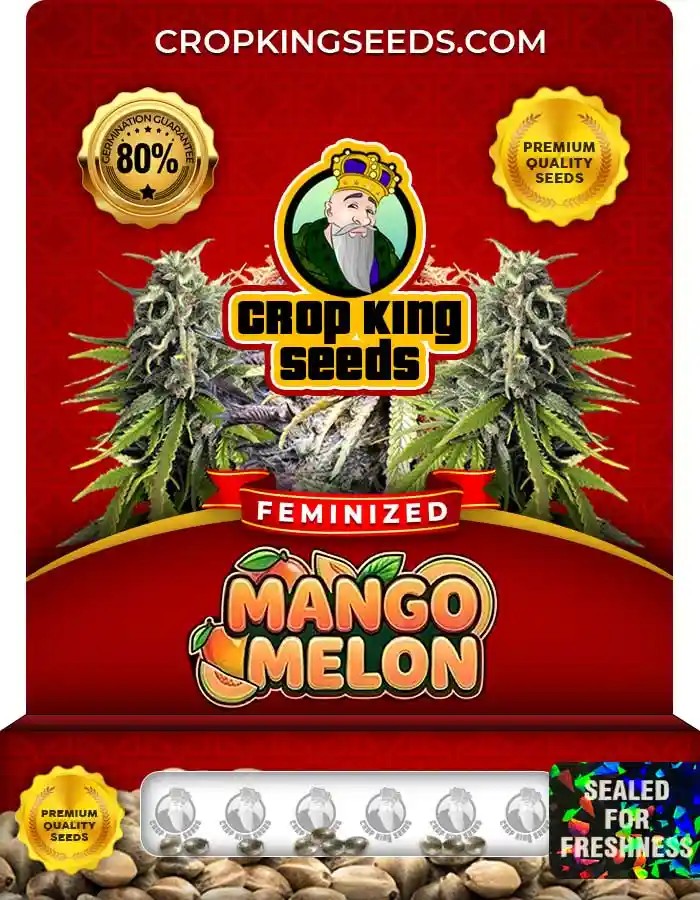 Mango Melon Strain Feminized Seeds