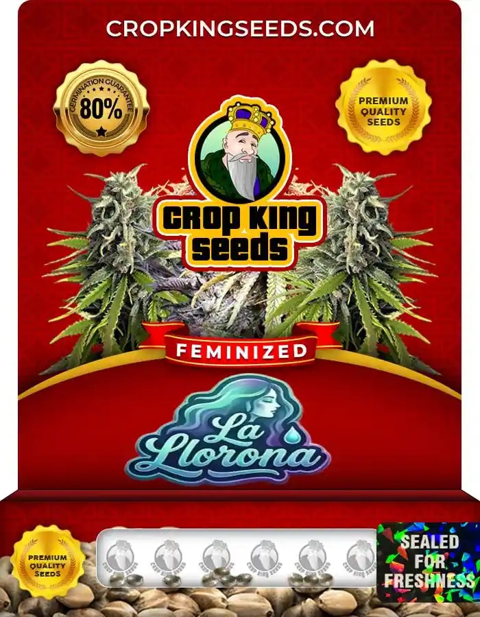 La Llorona Strain Feminized Seeds