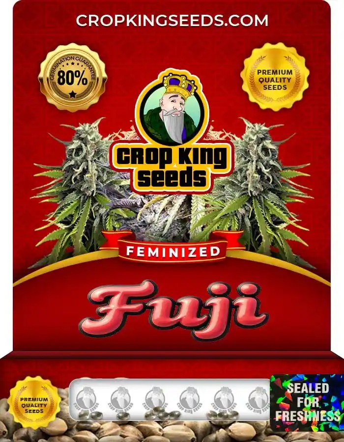 Fuji Feminized Seeds