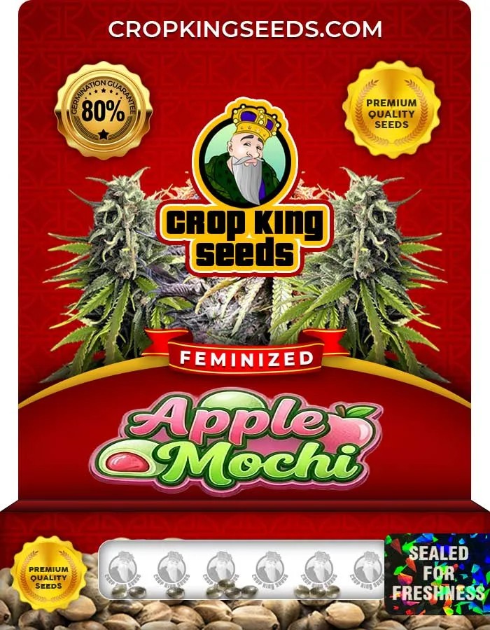 Apple Mochi Strain Feminized Seeds