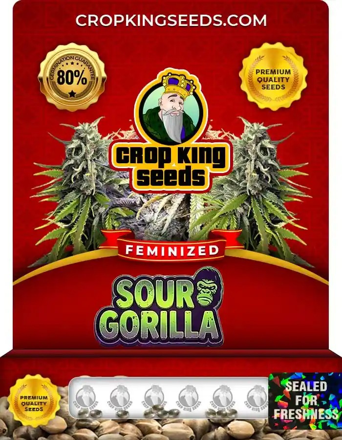 Sour Gorilla Strain Feminized Seeds