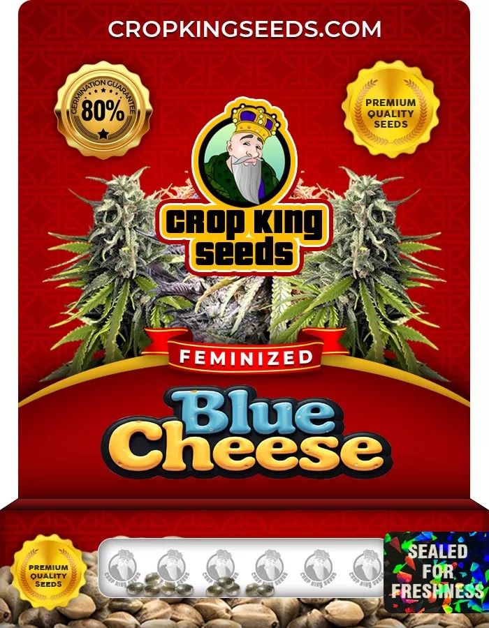 Blue Cheese Feminized Marijuana Seeds