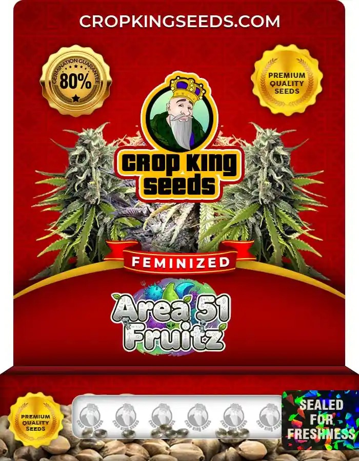 Area 51 Fruitz Strain Feminized Marijuana Seeds