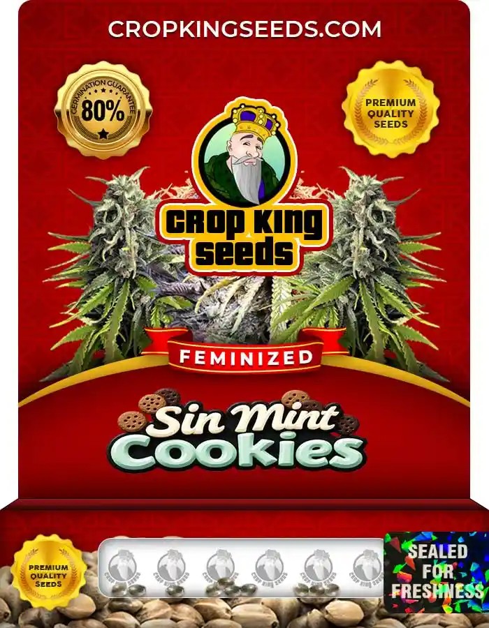 Sin Mint Cookies Feminized Seeds