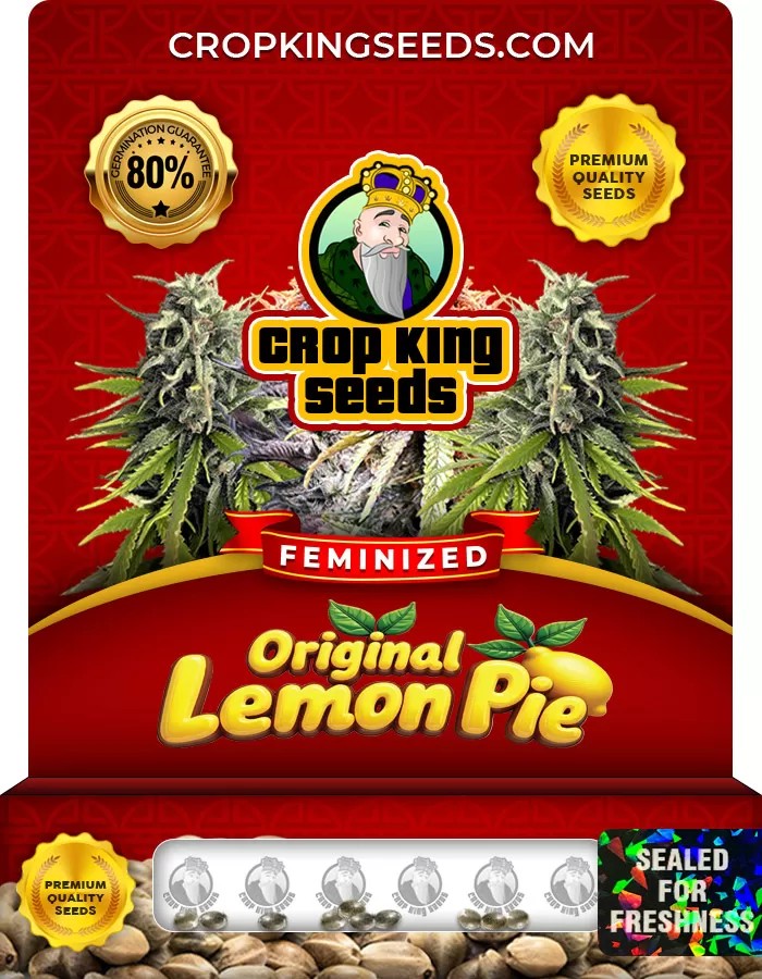 Original Lemon Pie Feminized Marijuana Seeds