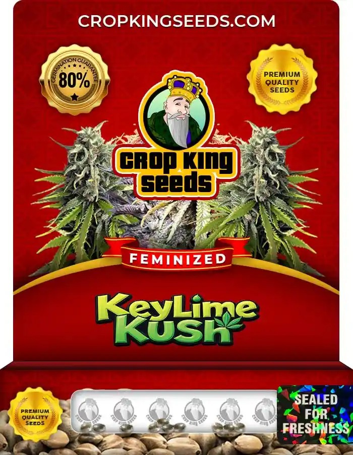 Key Lime Kush Feminized Seeds