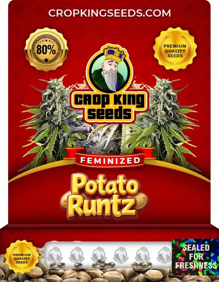 Potato Runtz Feminized Seeds