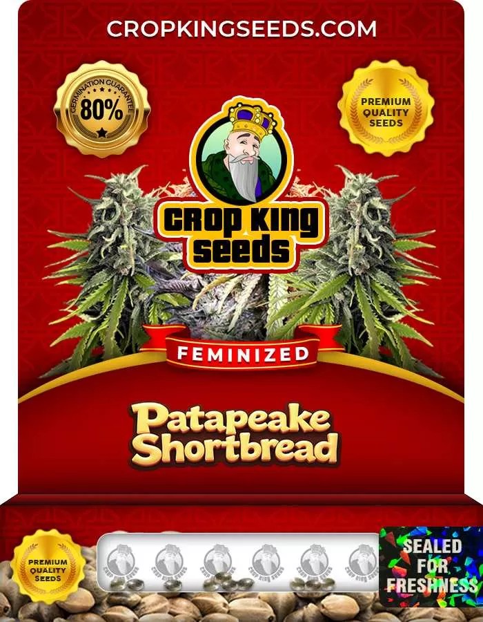 Patapeake Shortbread Strain Feminized Marijuana Seeds