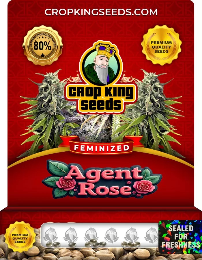 Agent Rose Feminized Marijuana Seeds