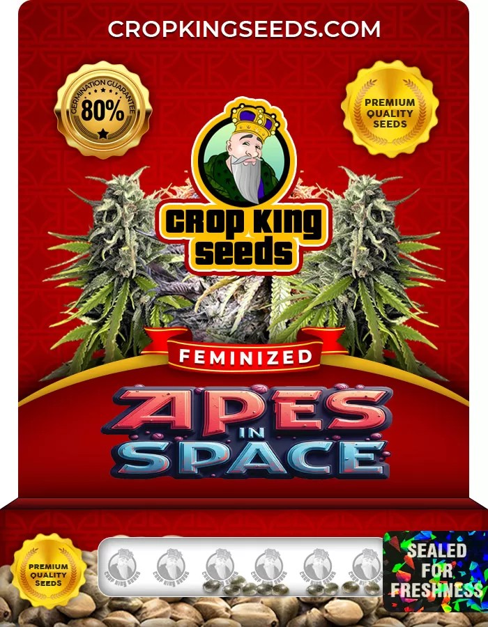 Apes in Space Feminized Marijuana Seeds