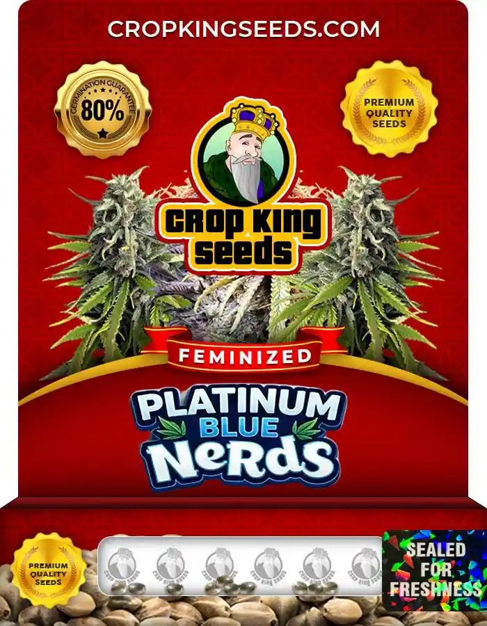 Platinum Blue Nerds Strain Feminized Seeds