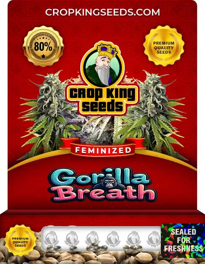 Gorilla Breath Strain Feminized Marijuana Seeds