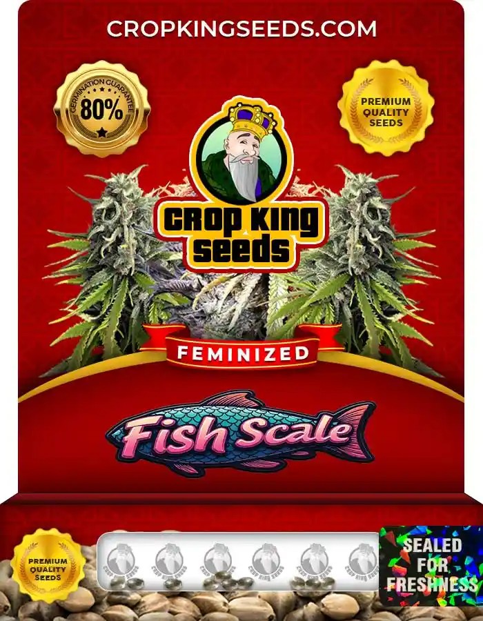 Fish Scale Strain Feminized Marijuana Seeds