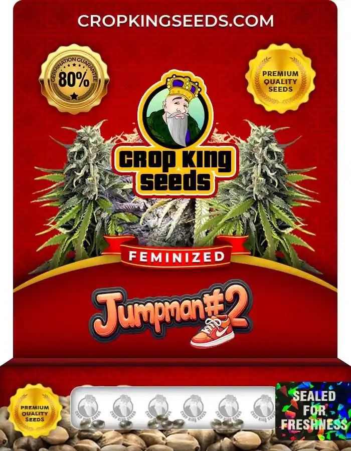 Jumpman #2 Strain Feminized Seeds
