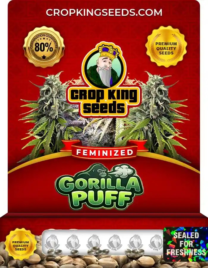 Gorilla Puff Feminized Seeds