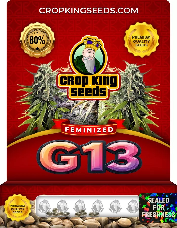 G13 Feminized Marijuana Seeds