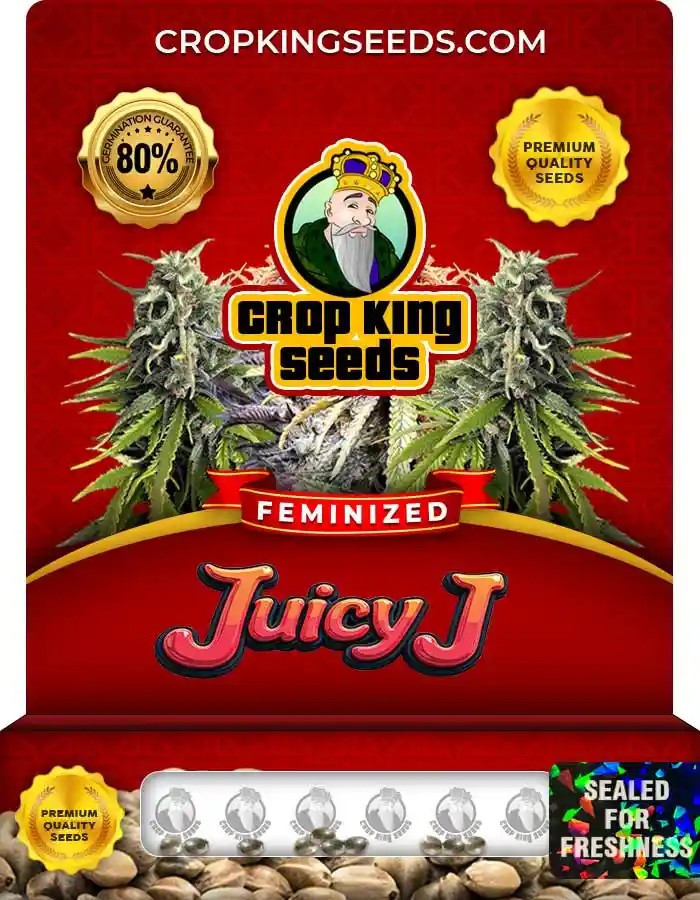 Juicy J Feminized Seeds