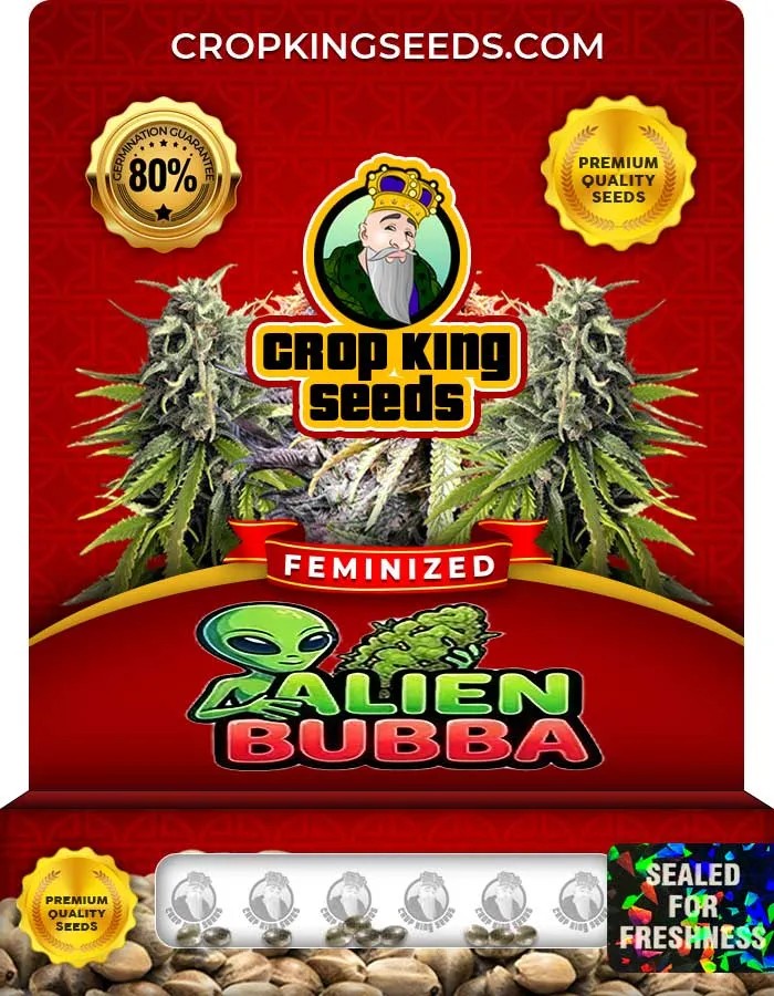 Alien Bubba Strain Feminized Seeds