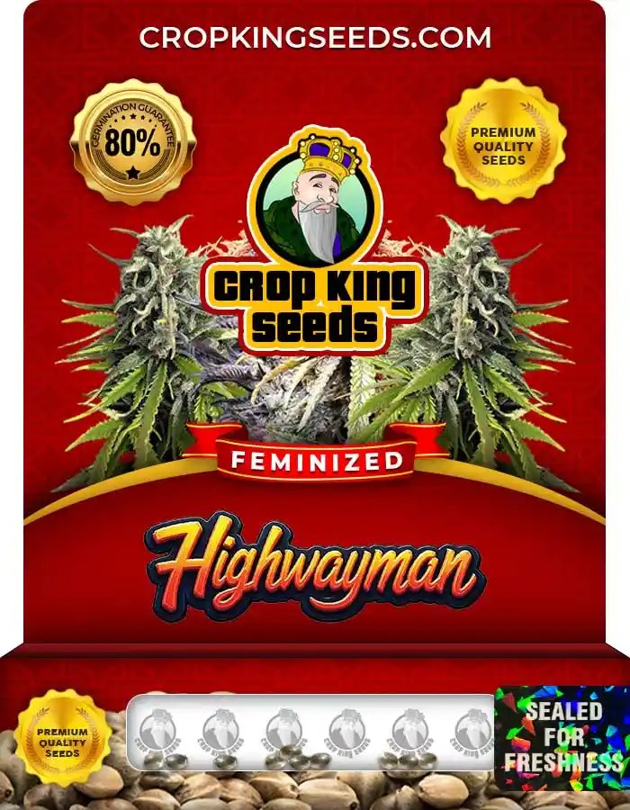 Highwayman Feminized Seeds