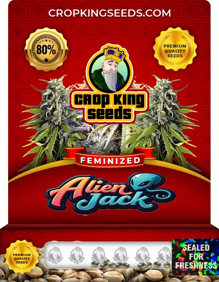 Alien Jack Feminized Marijuana Seeds