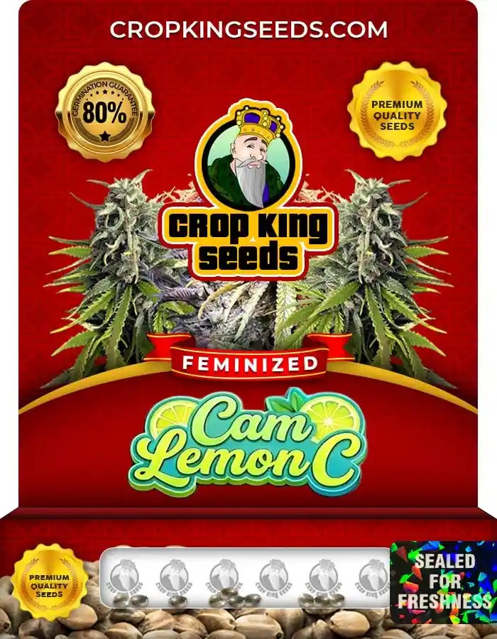 Cam Lemon C Strain Feminized Seeds