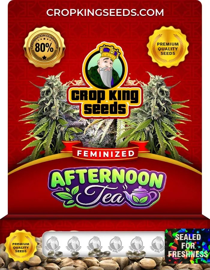 Afternoon Tea Strain Feminized Seeds