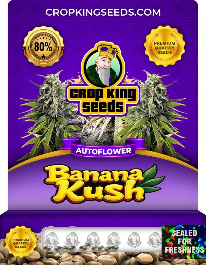 Banana Kush Autoflowering Marijuana Seeds