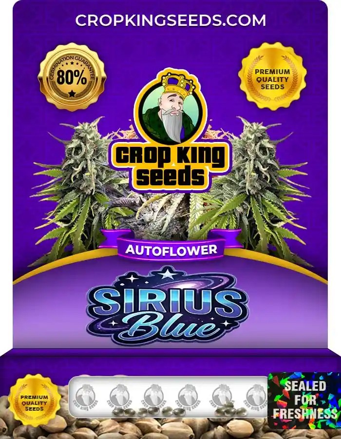 Sirius Blue Autoflower Seeds