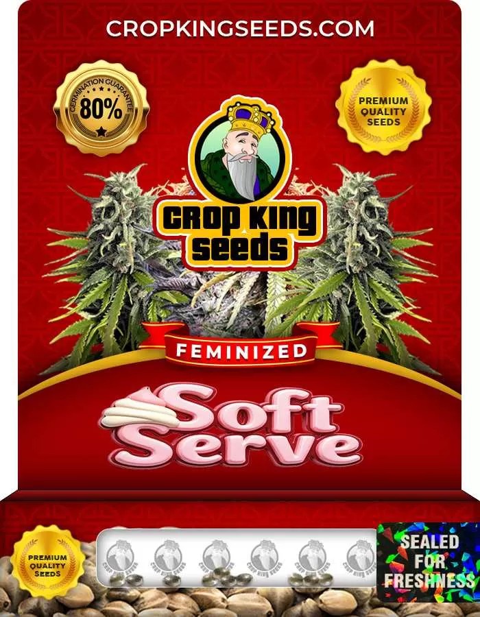 Soft Serve Feminized Seeds