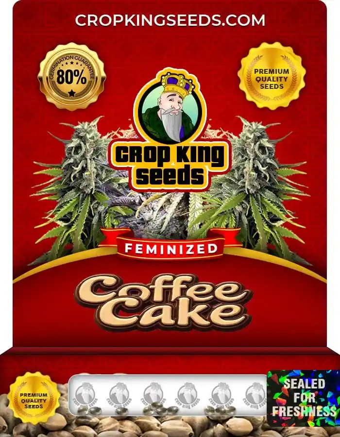 Coffee Cake Feminized Seeds