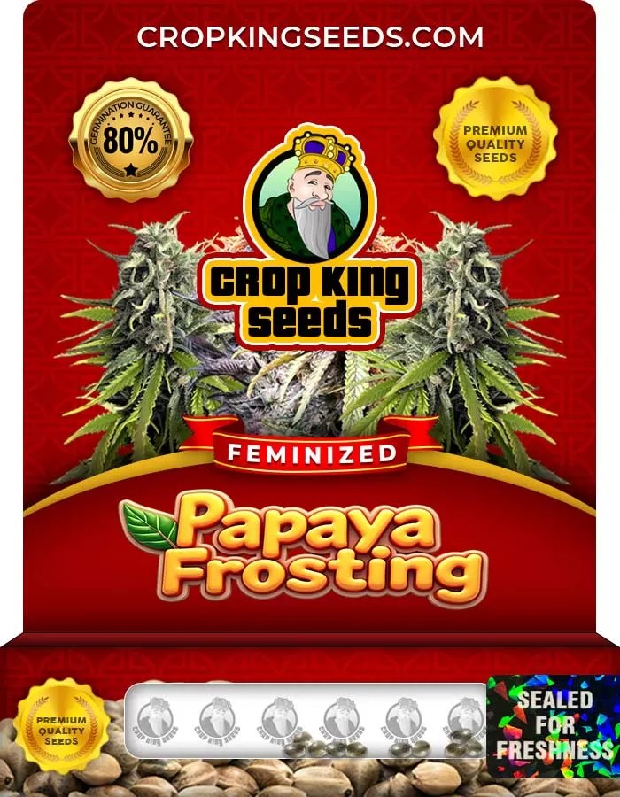 Papaya Frosting Strain Feminized Seeds