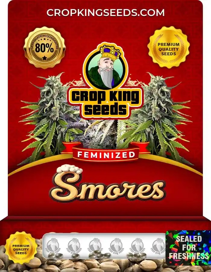 Smores Strain Feminized Marijuana Seeds