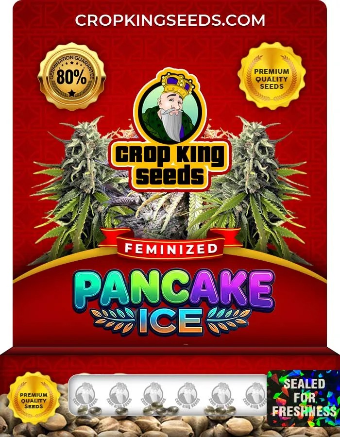 Pancake Ice Strain Feminized Seeds