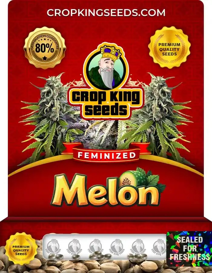 Melon Strain Feminized Marijuana Seeds